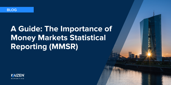 A Guide: The Importance of Money Market Statistical Reporting (MMSR)